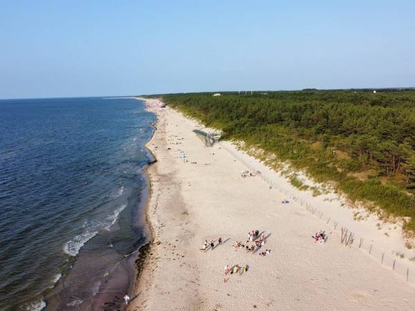 Apartament w Sosnowym Lesie