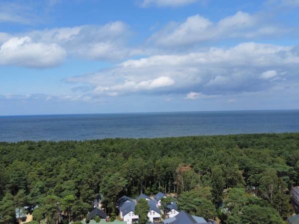 Apartament w Sosnowym Lesie