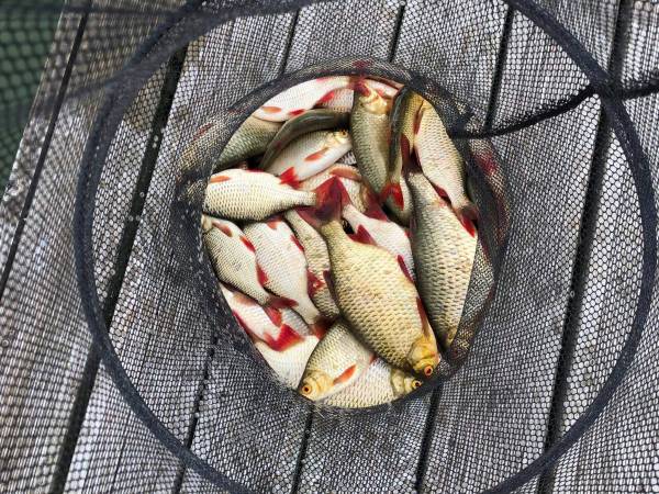 Dom Nad Jeziorem Zakątek Stacze30