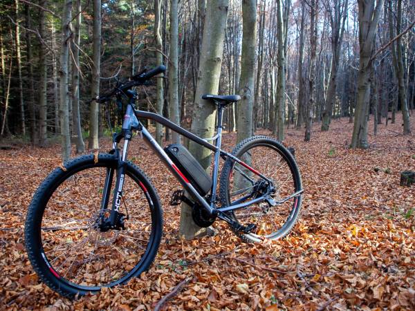 źródło: BWRE w Ustrzykach Dolnych