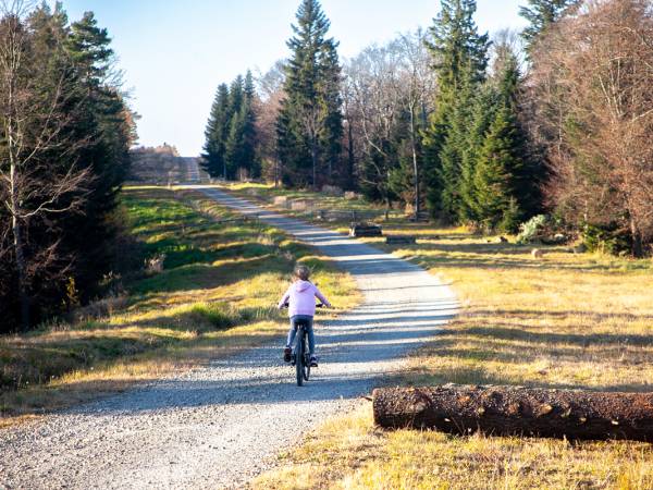 źródło: BWRE w Ustrzykach Dolnych