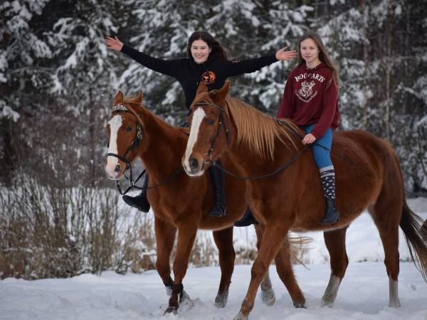 Baśniowe Chaty Hobbitów w Ośrodku Jeździeckim Skręt