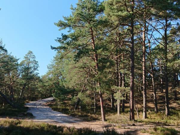 droga do plaży Stilo