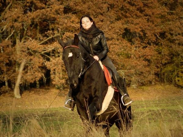 Baśniowe Chaty Hobbitów w Ośrodku Jeździeckim Skręt