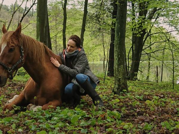 Baśniowe Chaty Hobbitów w Ośrodku Jeździeckim Skręt