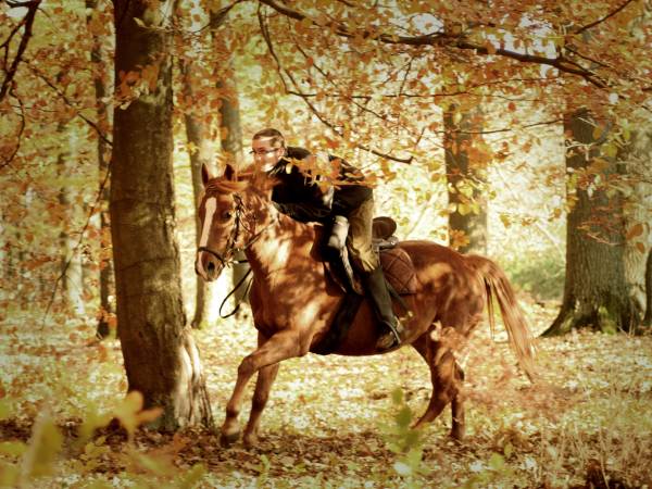 Baśniowe Chaty Hobbitów w Ośrodku Jeździeckim Skręt