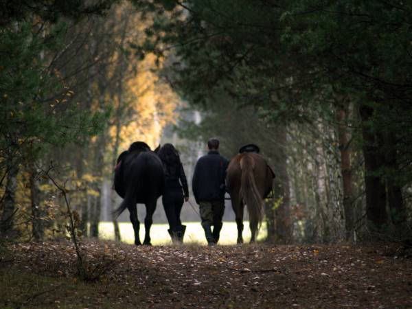 Baśniowe Chaty Hobbitów w Ośrodku Jeździeckim Skręt