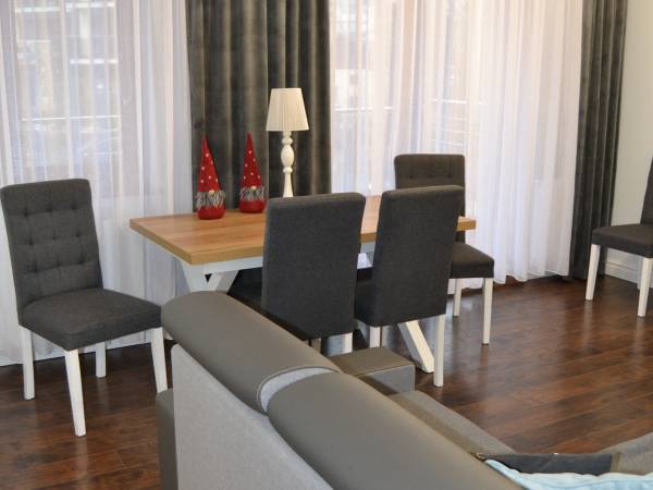 salon z aneksem kuchennym 