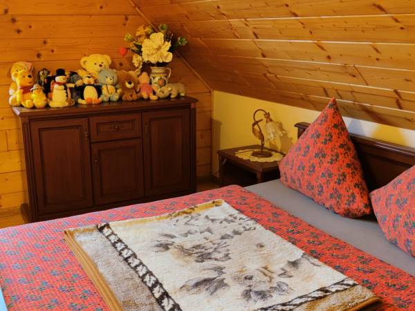 Domek u Agnieszki na Gronicku