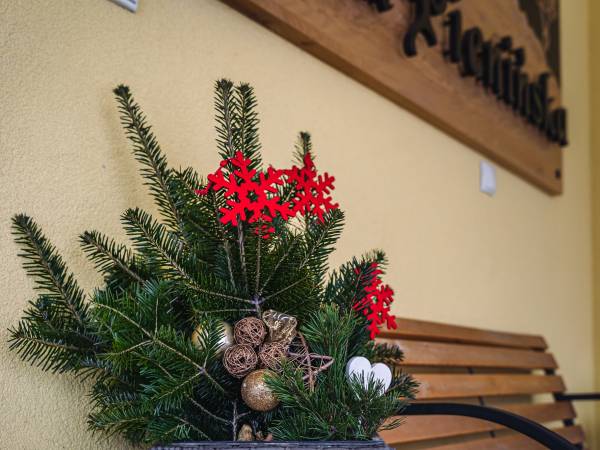 Pensjonat Willa Pienińska