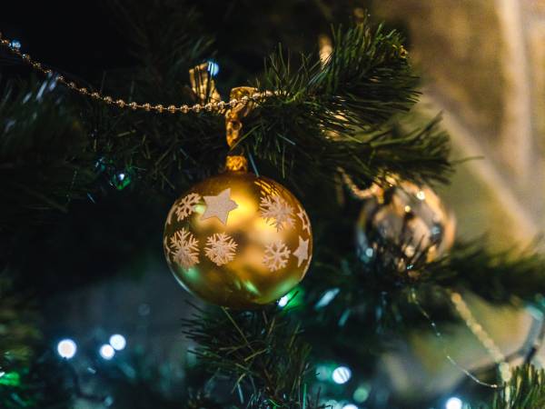 Pensjonat Willa Pienińska