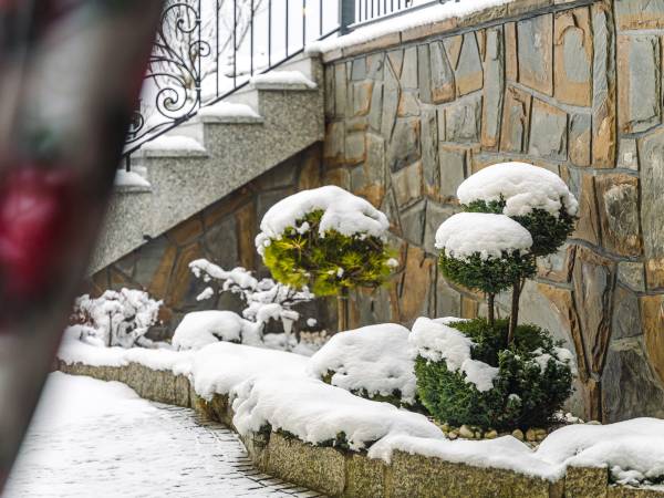 Pensjonat Willa Pienińska