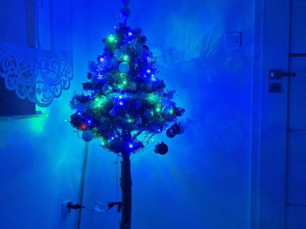 Domek u Źródeł Karola 