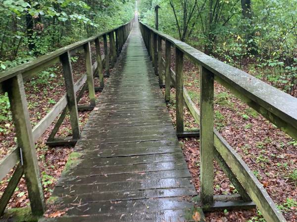 Siedlisko Poleski Zakątek Zagłębocze