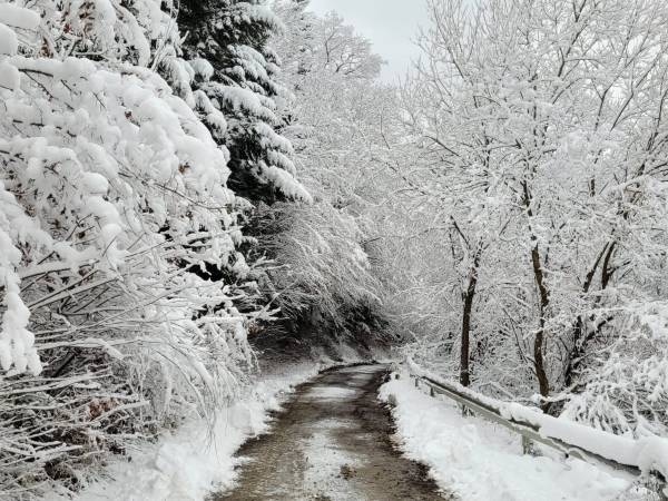 Domki przy lesie 300m od jeziora
