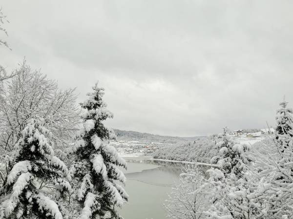 Domki przy lesie 300m od jeziora