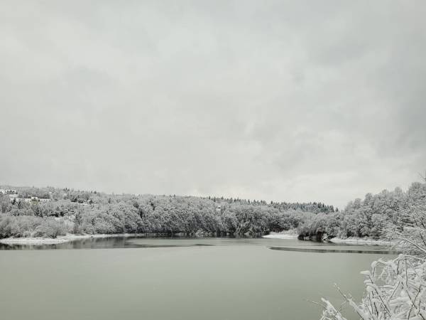 Domki przy lesie 300m od jeziora