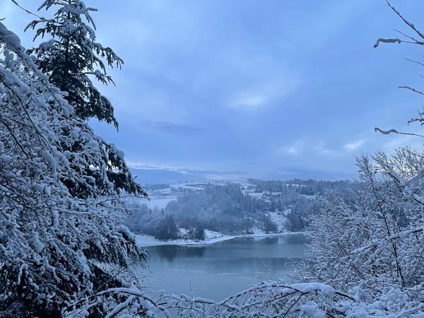 Domki przy lesie 300m od jeziora