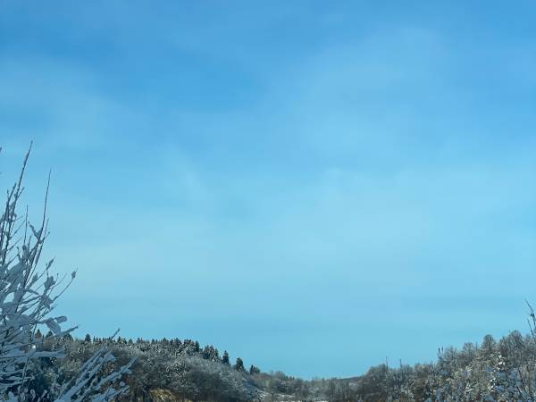 Domki przy lesie 300m od jeziora