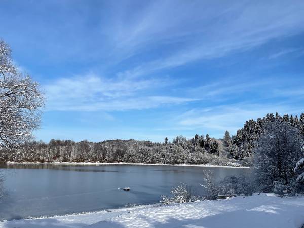 Domki przy lesie 300m od jeziora