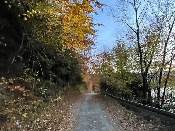 Domki przy lesie 300m od jeziora