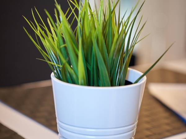 Apartamenty Aisza & Willa Aisza