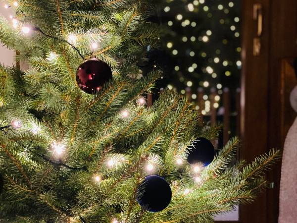 Apartamenty Piwniczna