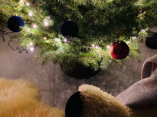 Apartamenty Piwniczna