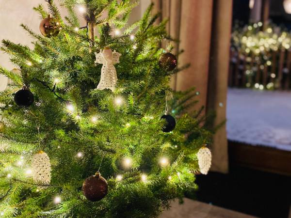 Apartamenty Piwniczna