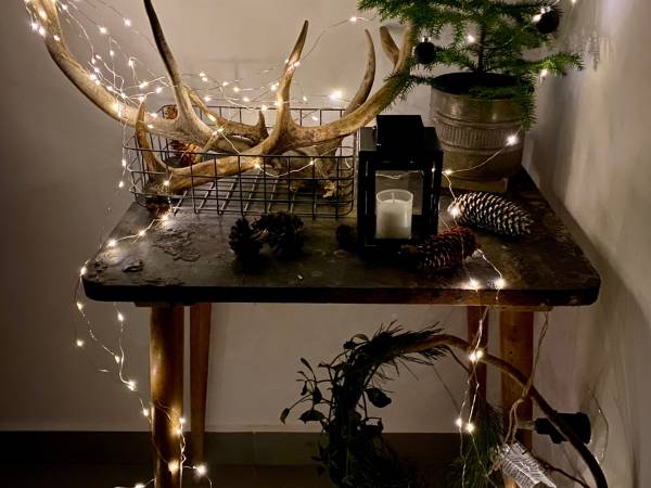 Apartamenty Piwniczna