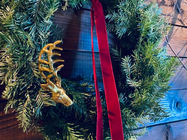 Apartamenty Piwniczna