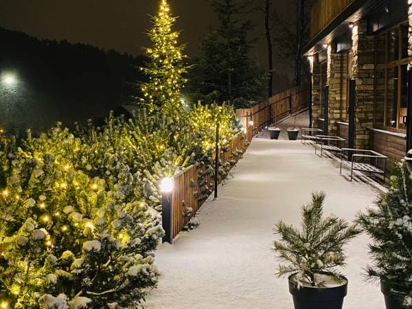 Apartamenty Piwniczna