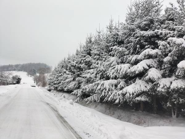 Domek całoroczny pod Bieszczadzkim Aniołem