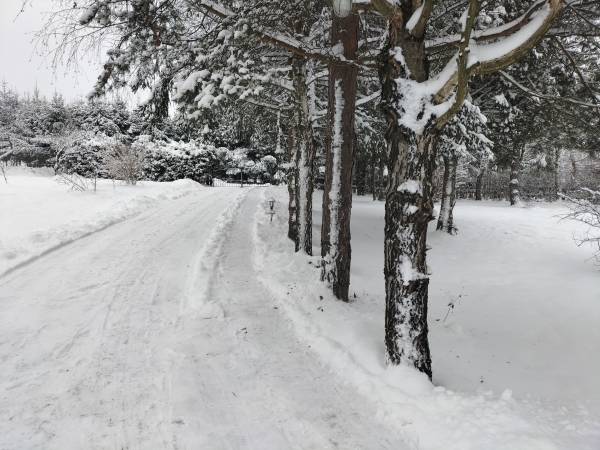 Domek całoroczny pod Bieszczadzkim Aniołem