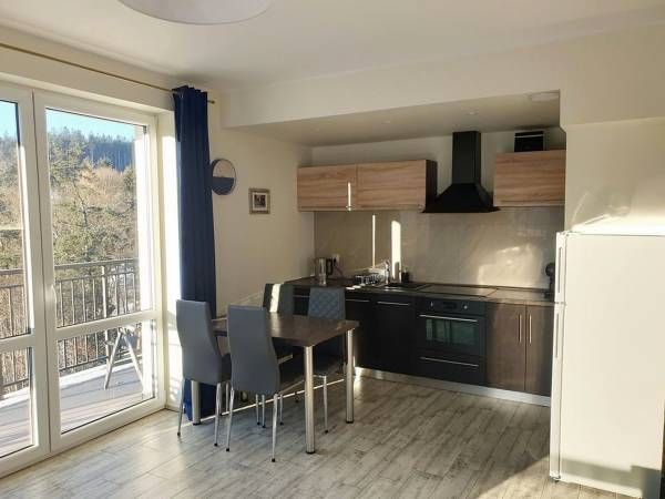 Apartament Sudety