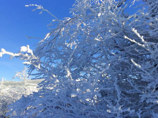 Pokoje pod Czyrną przy Gondoli