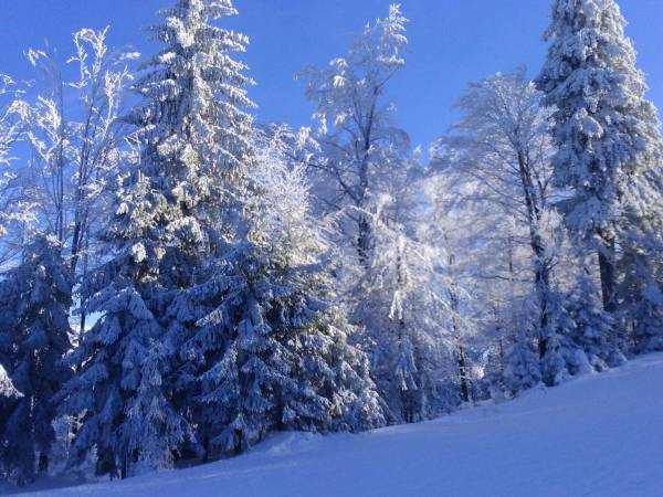 Pokoje pod Czyrną przy Gondoli