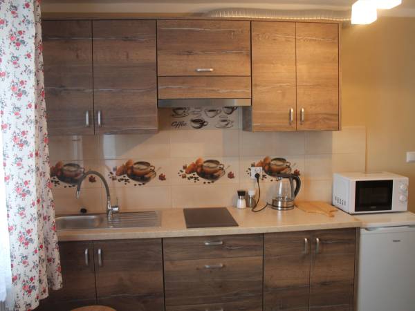 Apartament 4 osobowy - kuchnia