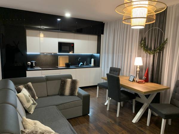 salon z aneksem kuchennym 