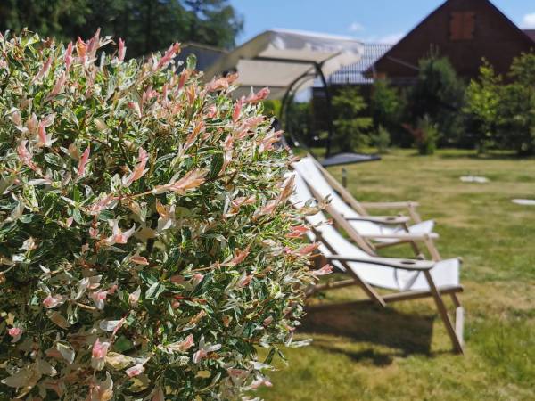 Domki Zacisze za lasem