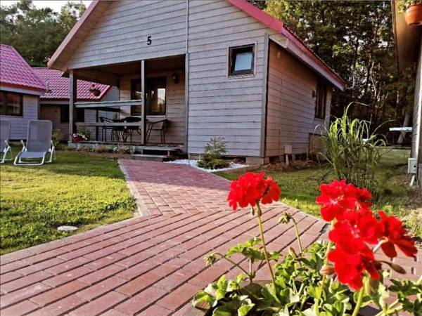 Domki Zacisze za lasem