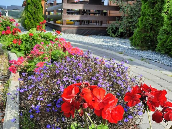 Domki La Plata, Podgrzewany Basen, Sauna, Jacuzzi