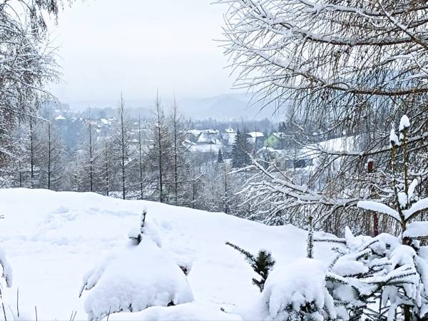 Dom Wakacyjny Gajówka z ogrodem na wyłączność