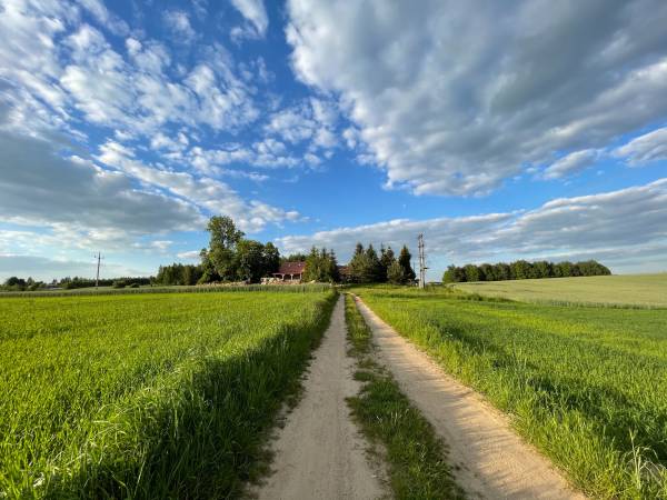 Droga prowadząca tylko do siedliska