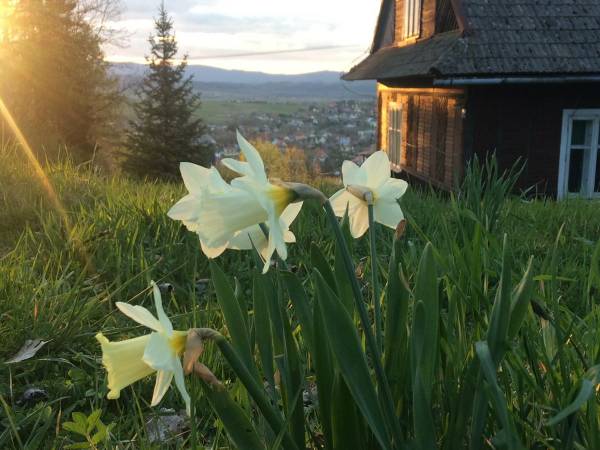 Gospodarstwo Agroturystyczne u Firków
