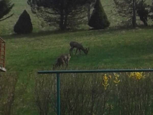 Gospodarstwo Agroturystyczne u Firków