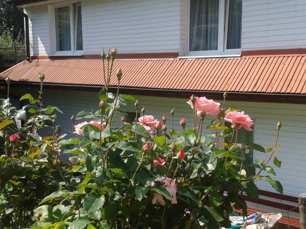 Gospodarstwo Agroturystyczne u Firków