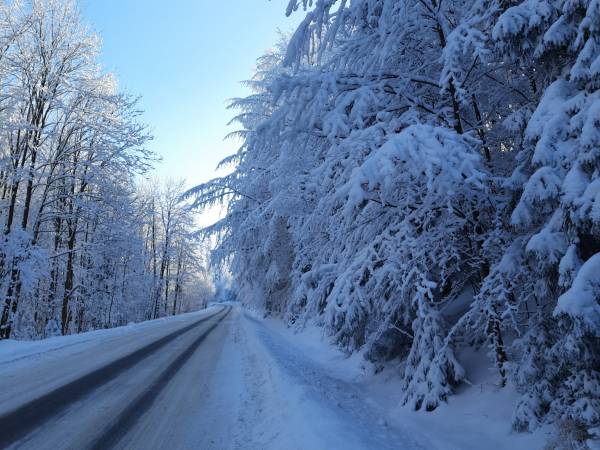 Gospodarstwo Agroturystyczne u Firków