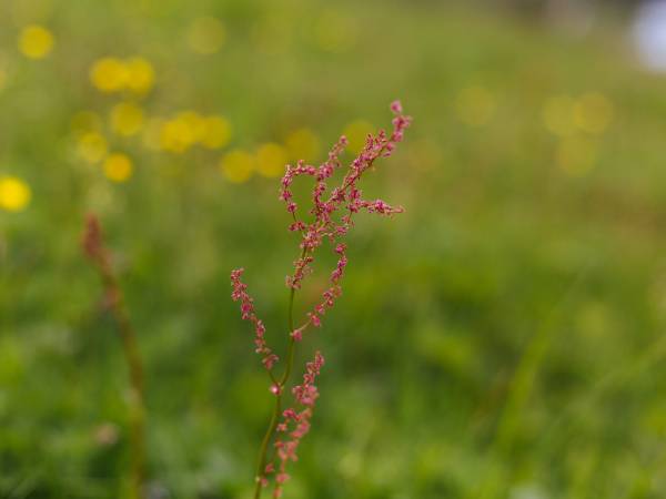 Ośrodek Wypoczynkowy Maria
