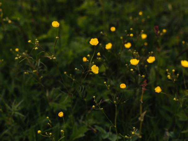 Ośrodek Wypoczynkowy Maria